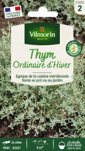 Thym ordinaire